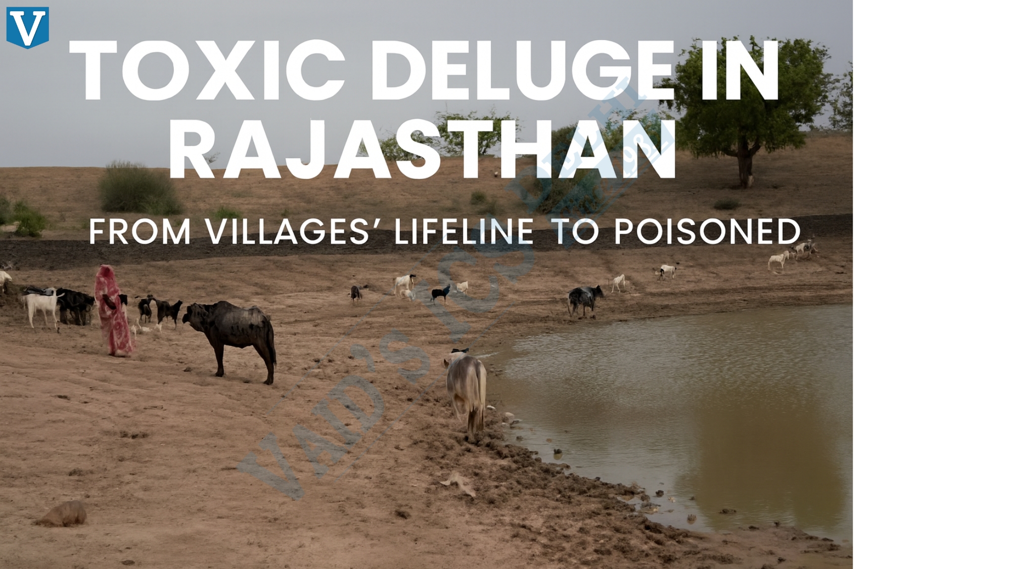 Toxic Deluge in Rajasthan: From Villages&rsquo; Lifeline to Poisoned